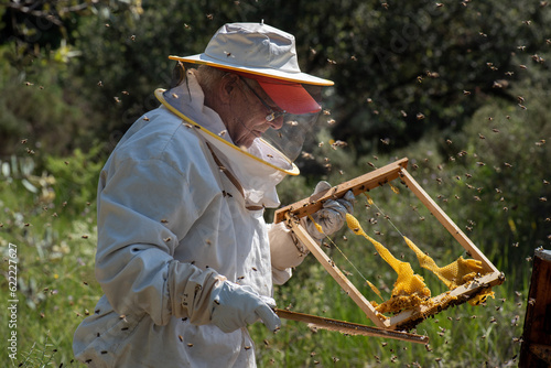 beekeeper looking at panel of bees with melted wax from the sun and not well formed cells for honey production.