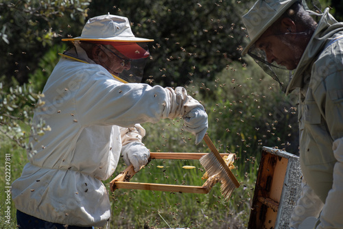 beekeeper father in his eighties catching bee panels, dressed in protective gear, brushing bees away with natural hair brush