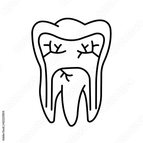 Tooth Vector Icon

