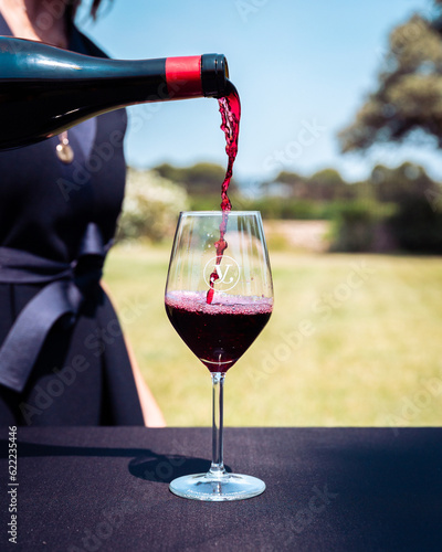 Service de vin rouge dans un verre à vin, en extérieur à la campagne