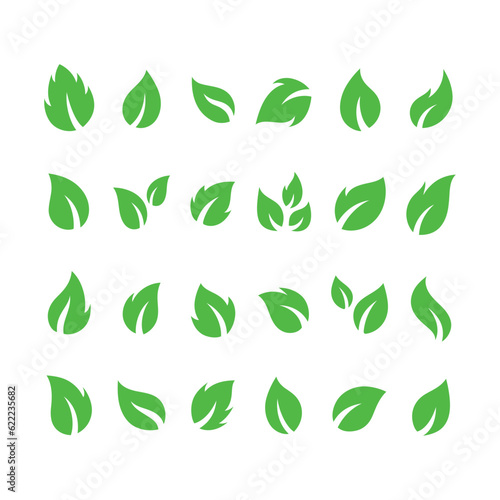 botanical green leaves vector icons set