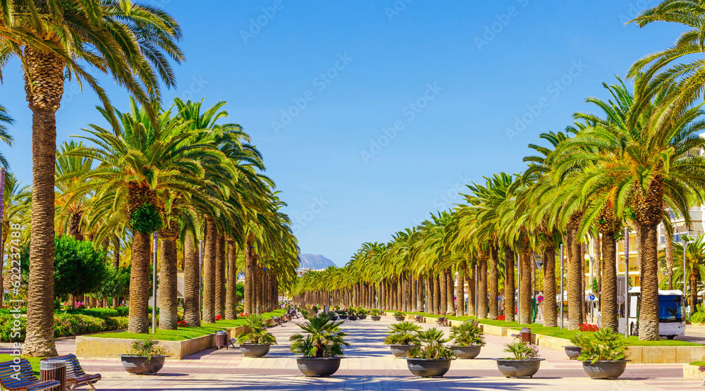 Promenade view with palm trees in Salou, Catalonia, Spain, Europe