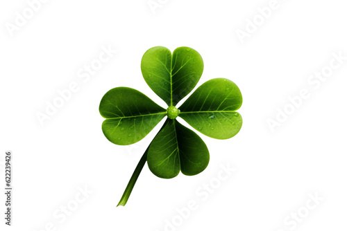 clover. transparent background