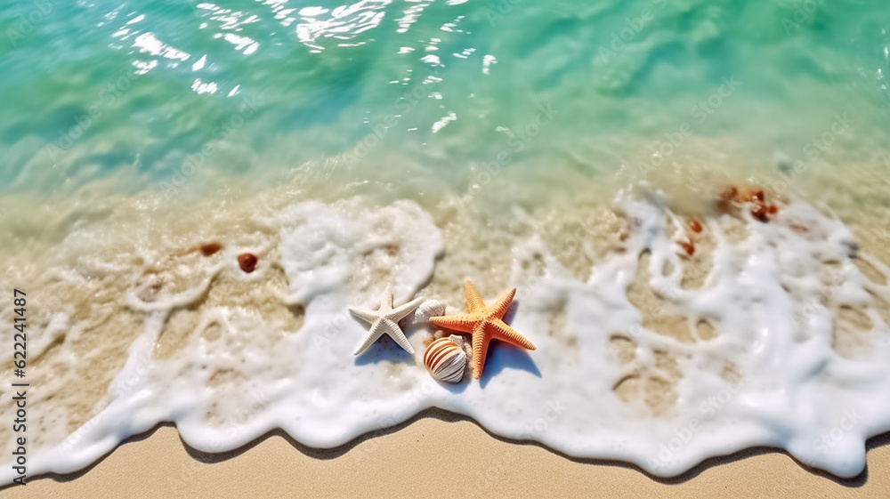 Fototapeta premium Shells and star on sand beach near wavy turquoise sea water. Beach vacation concept background.