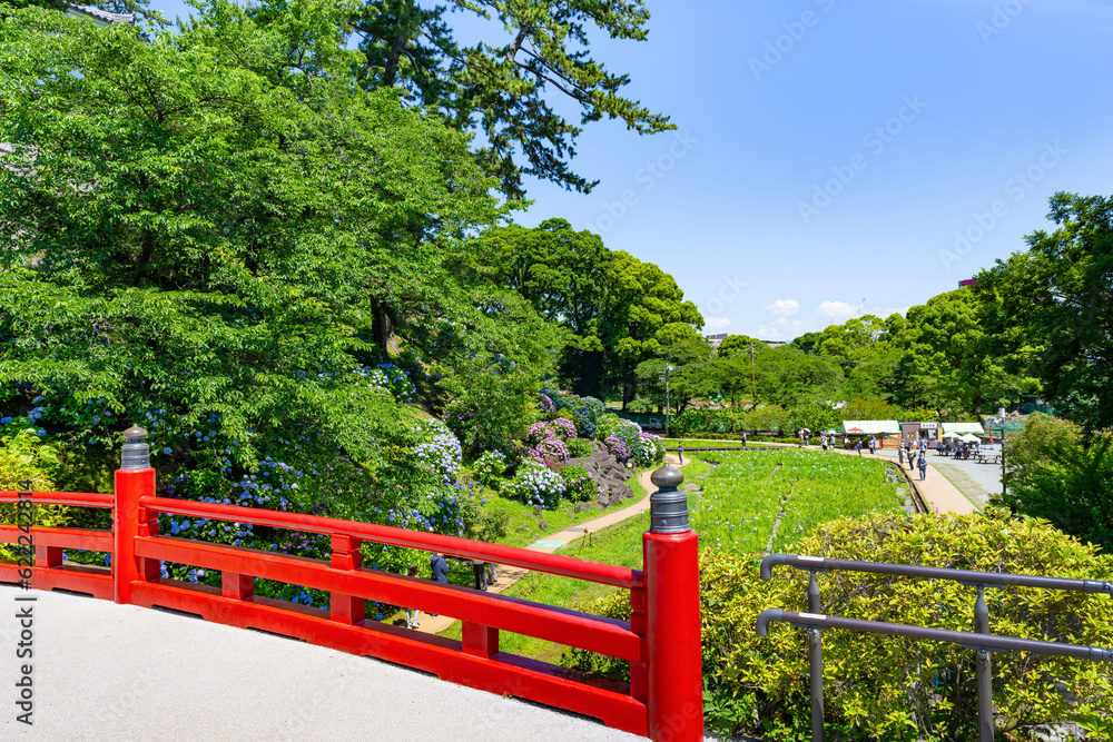 神奈川県小田原市　あじさいシーズンの小田原城