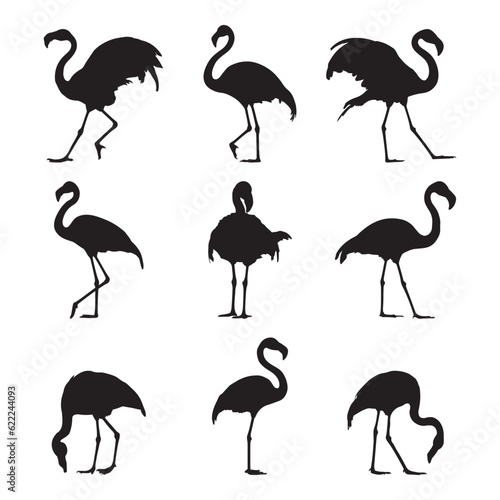 Silhouette flamingo collection - vector illustration