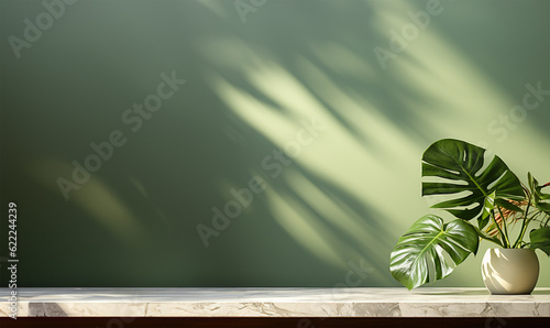 modern white marble stone counter table  tropical monstera plant tree in sunlight on green wall