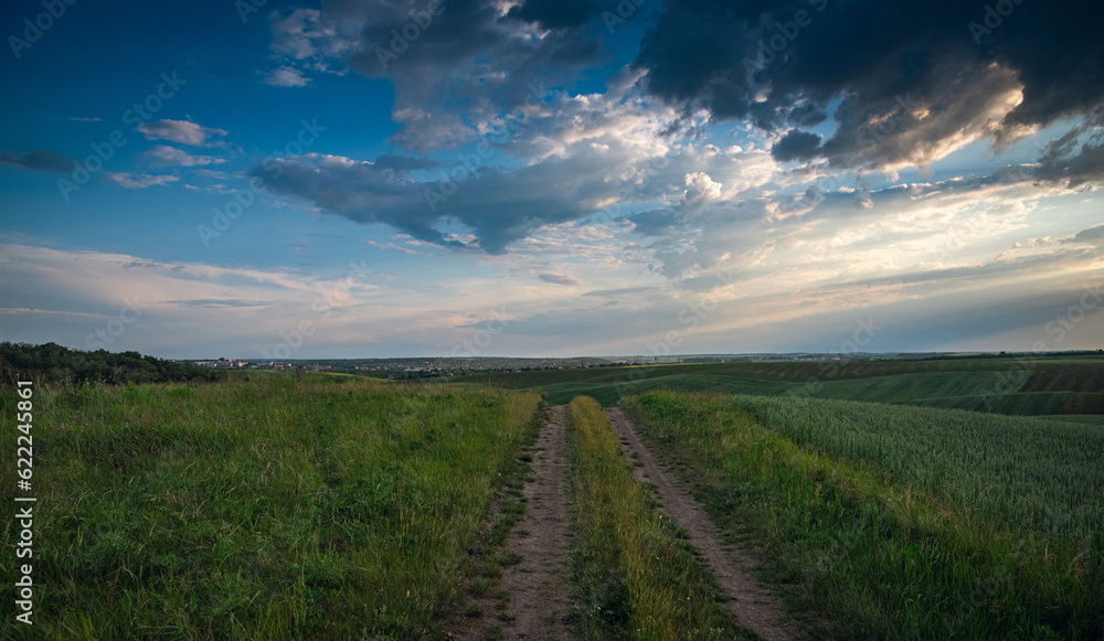 Summer evening landscape