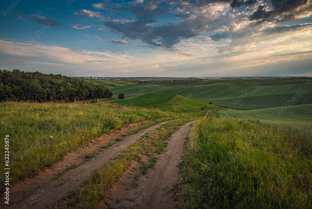 Summer evening landscape