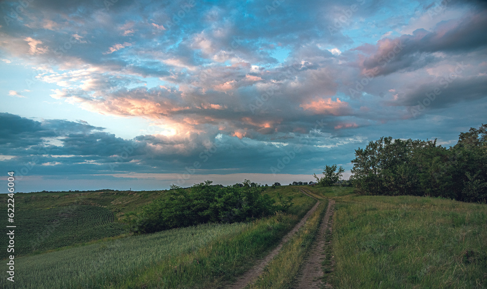 Naklejka premium Summer evening landscape