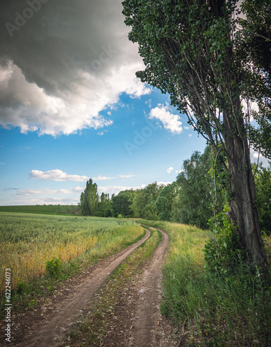 Summer landscape