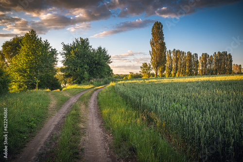 Spring evening landscape