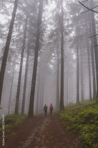 Two girls walk through a dark forest shrouded in a desolate grey mist on a rainy day. Horni Becva, Vsetinsko, Beskydy mountains