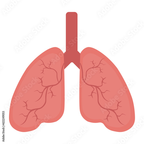 Lung human icon, respiratory system healthy lungs anatomy flat medical organ icon
