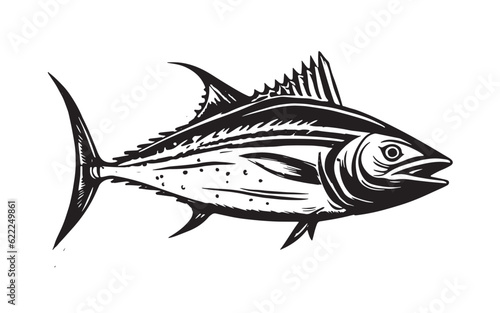 Tuna hand drawn Illustration, vector. 