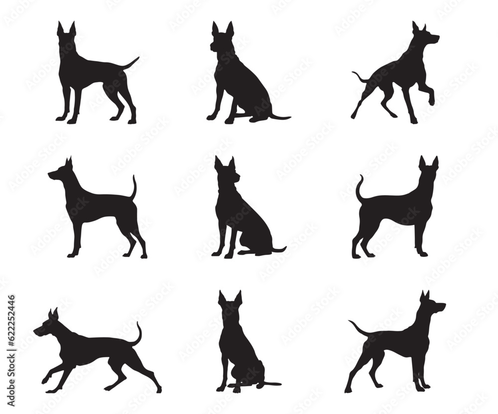 Doberman silhouette set - isolated vector images of wild animals