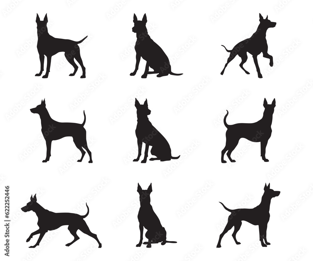 Doberman silhouette set - isolated vector images of wild animals Doberman silhouette set - isolated vector images of wild animals