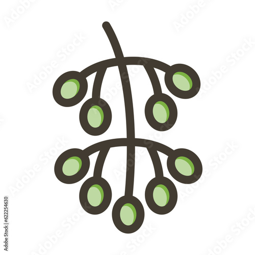 Hackberry Vector Thick Line Filled Colors Icon Design