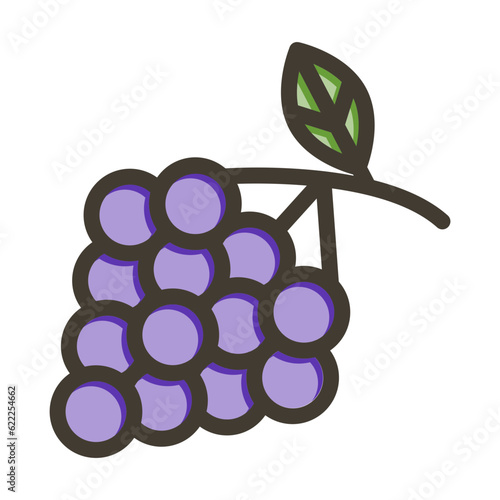 Zinfandel Grapes Vector Thick Line Filled Colors Icon Design