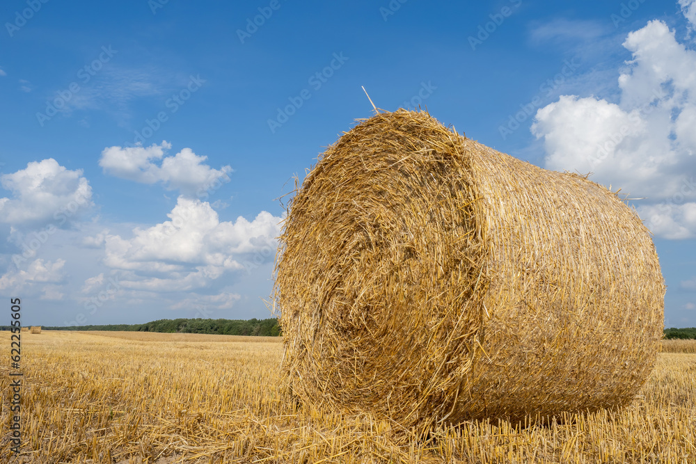 Round haystack. Harvest. Agriculture. Dry grass for feeding livestock. Haystack under blue sky. Harvesting straw from wheat fields. Haystack in yellow box. Farming. Rural landscape. Hay bales