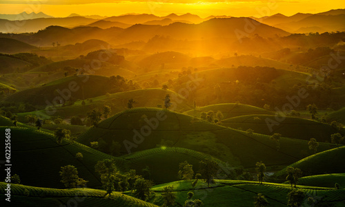 Aerial view of beatiful sunset at Long Coc tea hill, Phu Tho province, Vietnam