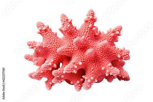 Thorny Coral, Thin Finger, , Table Coral beccc_.Table Coral, on transparent background (PNG). Generative AI.