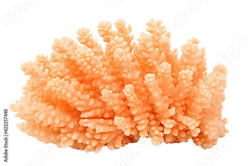 tube coral, on transparent background (PNG). Generative AI.