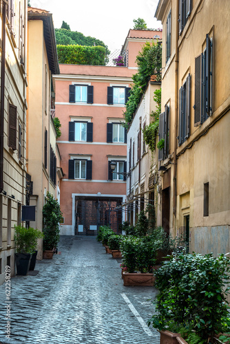Narrow italian street with plants and flowers © OttoPles