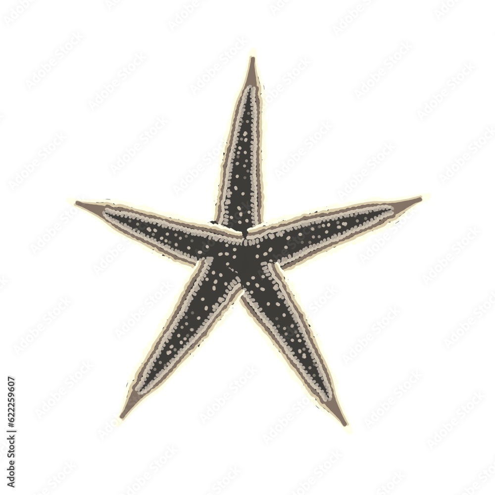 starfish isolated on white background starfish isolated on white background
