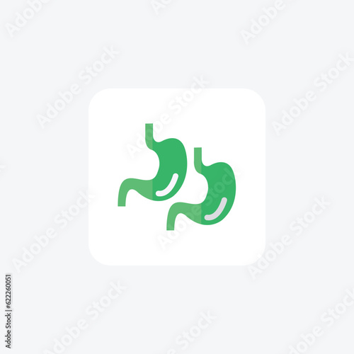 Stomach, Digestive System, Gastrointestinal Vector Flat Icon