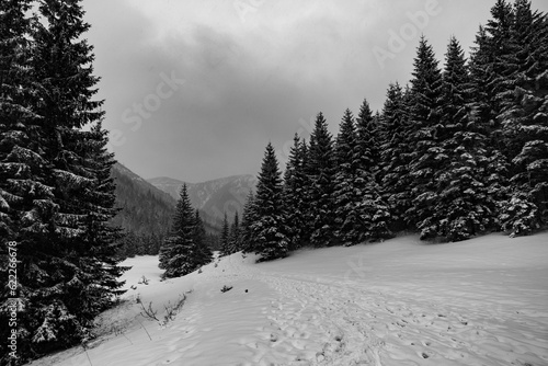 Beautiful view on the snow Tatry. Zakopane, Giewont, Kasprowy Wierch, Swinica, Rysy, Kresanica