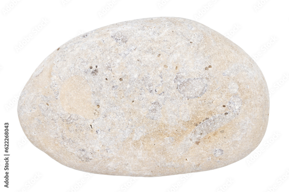 Top view of single gray pebble Top view of single gray pebble