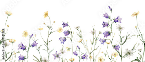 Close-up of blue spreading bellflower flowers frame. Campanula patula, bell, bluebell, rapunzel. Rabelera holostea, stellaria.Watercolor hand painting illustration. White and blue, violet flower © Ekatmart