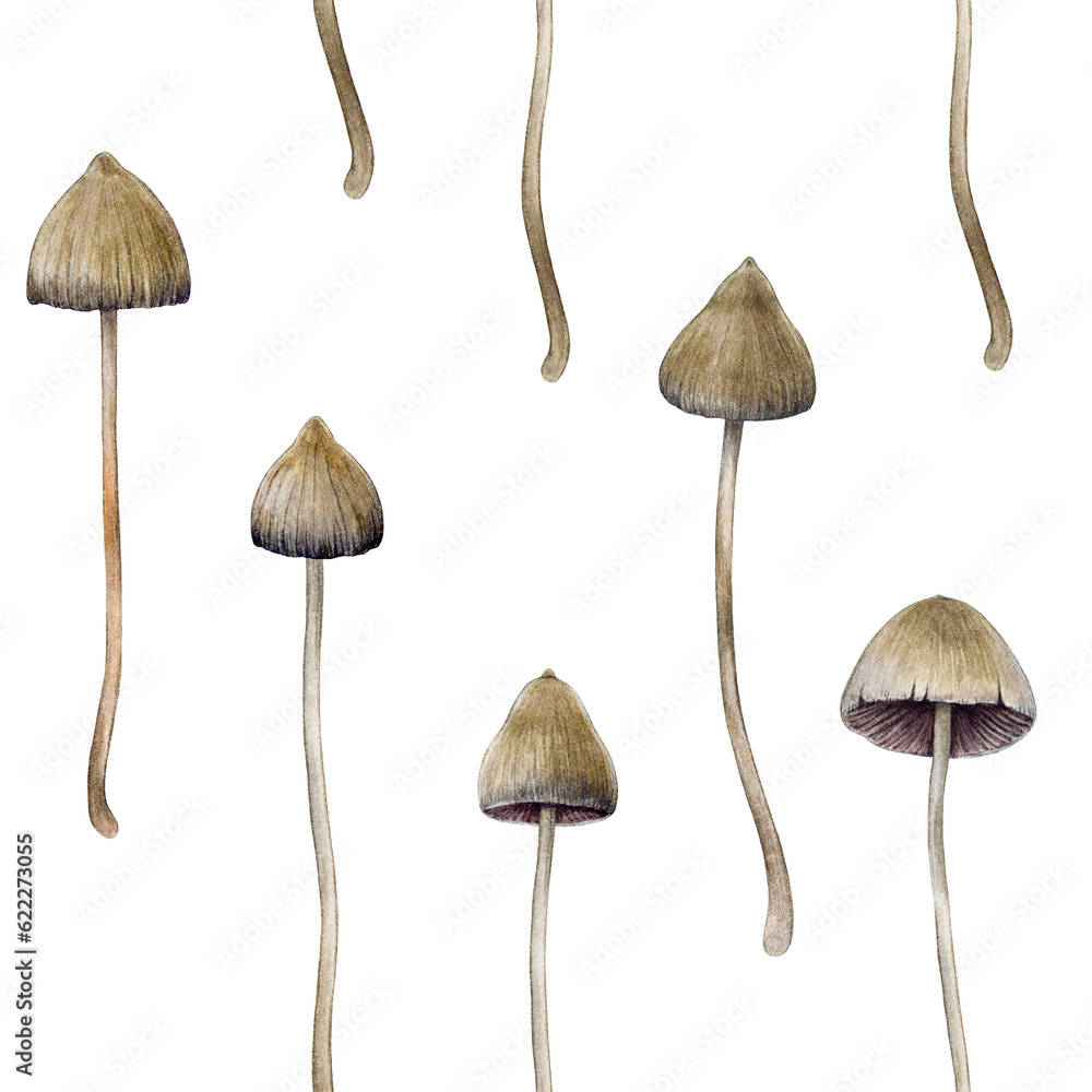 Psilocybe semilanceata mushroom seamless pattern. Watercolor illustration. Hand drawn liberty cap psilocybin shrooms. Hallucinogen mushrooms seamless pattern on white background