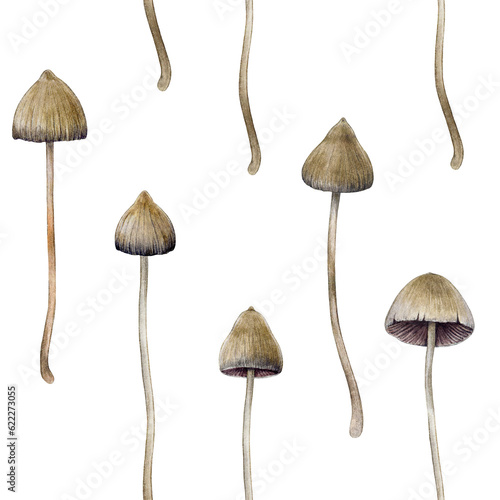 Psilocybe semilanceata mushroom seamless pattern. Watercolor illustration. Hand drawn liberty cap psilocybin shrooms. Hallucinogen mushrooms seamless pattern on white background photo