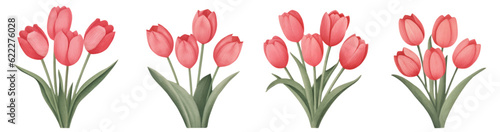 Red Tulip Flower For Valentine's Day