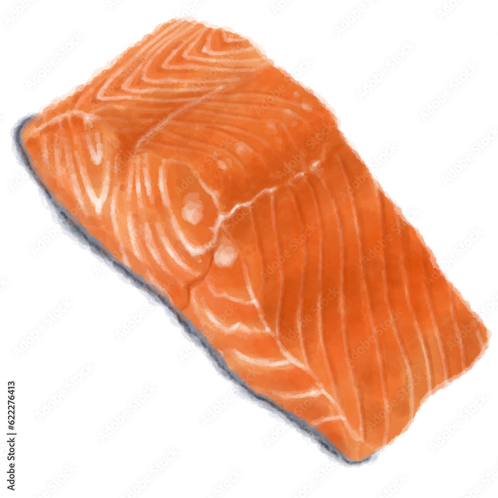 raw salmon raw salmon