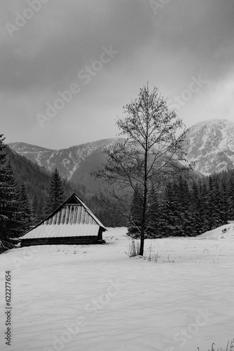 Beautiful view on the snow Tatry. Zakopane, Giewont, Kasprowy Wierch, Swinica, Rysy, Kresanica photo