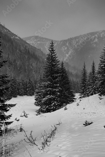 Beautiful view on the snow Tatry. Zakopane, Giewont, Kasprowy Wierch, Swinica, Rysy, Kresanica photo