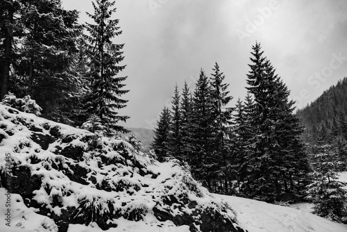 Beautiful view on the snow Tatry. Zakopane, Giewont, Kasprowy Wierch, Swinica, Rysy, Kresanica