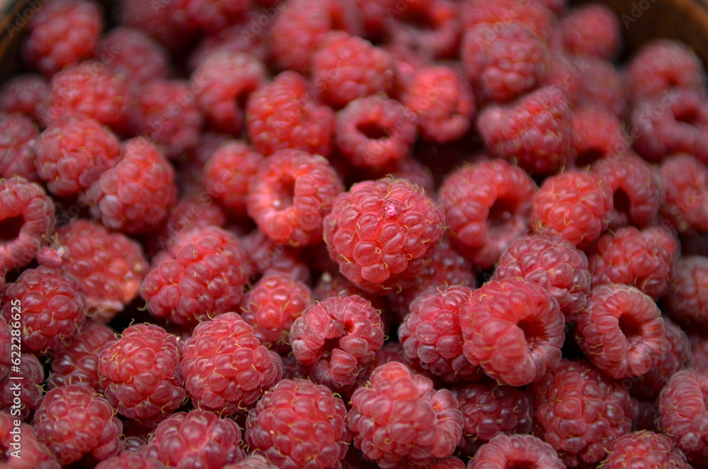 Red fresh raspberries in a bowl Red fresh raspberries in a bowl