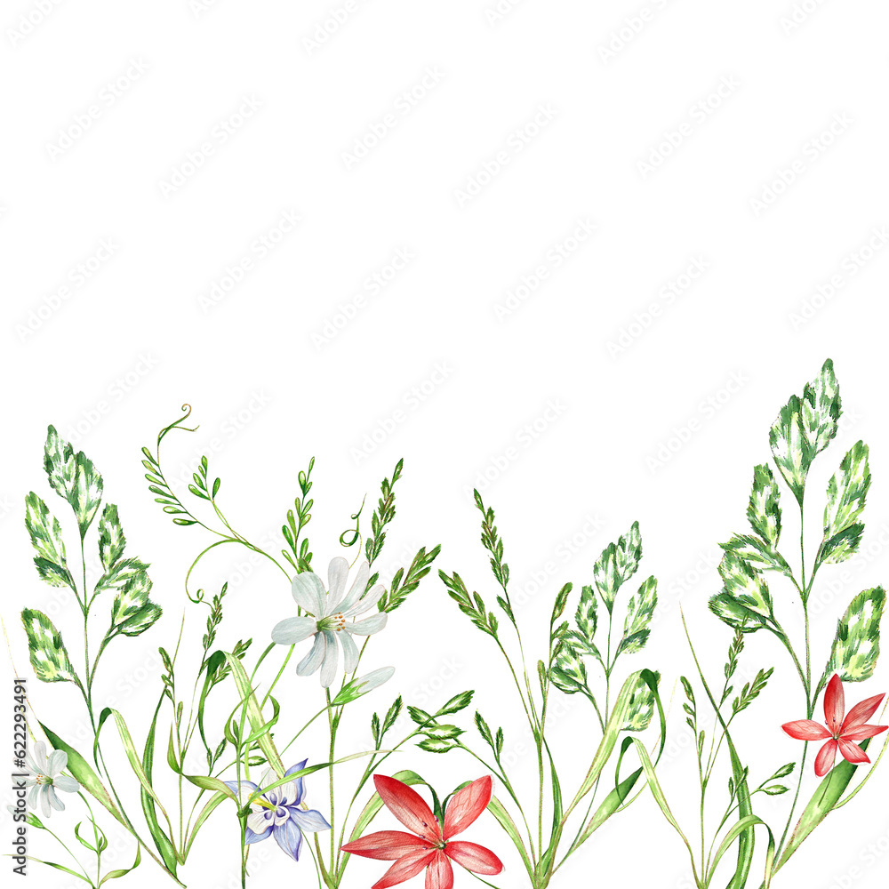 a set of watercolor bright illustrations. meadow grasses, flowers, clover. summer mood for the design of postcards, invitations, website design.
