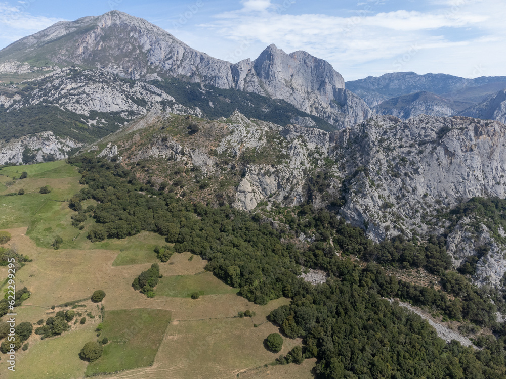 Aerial views of green Liebana valley, houses and mountains,  comarca of Cantabria, Spain