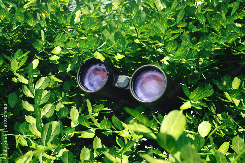 Binoculars among leaves. Observation equipment. Concept of spying technology.