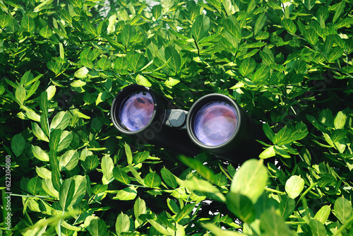 Obraz na płótnie Binoculars among leaves. Observation equipment. Concept of spying technology. w salonie