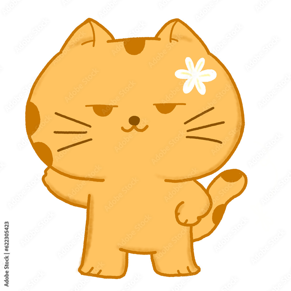 Cat21 Cat21