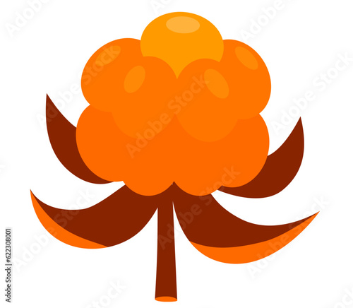 Arctic cloudberry isolated on white background. Nordic berry flat illustration. 