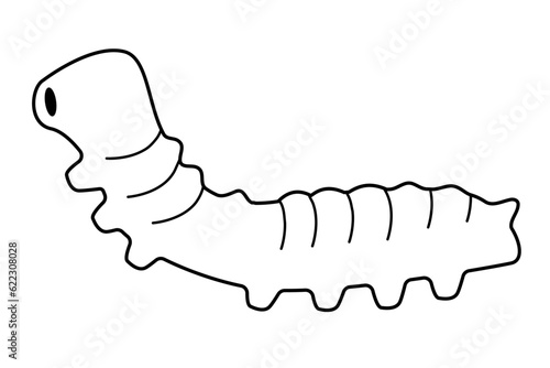 Caterpillar vector illustration. Silk moth larvae icon. Garden harmful insects insect symbol. Moth Life Cycle. 