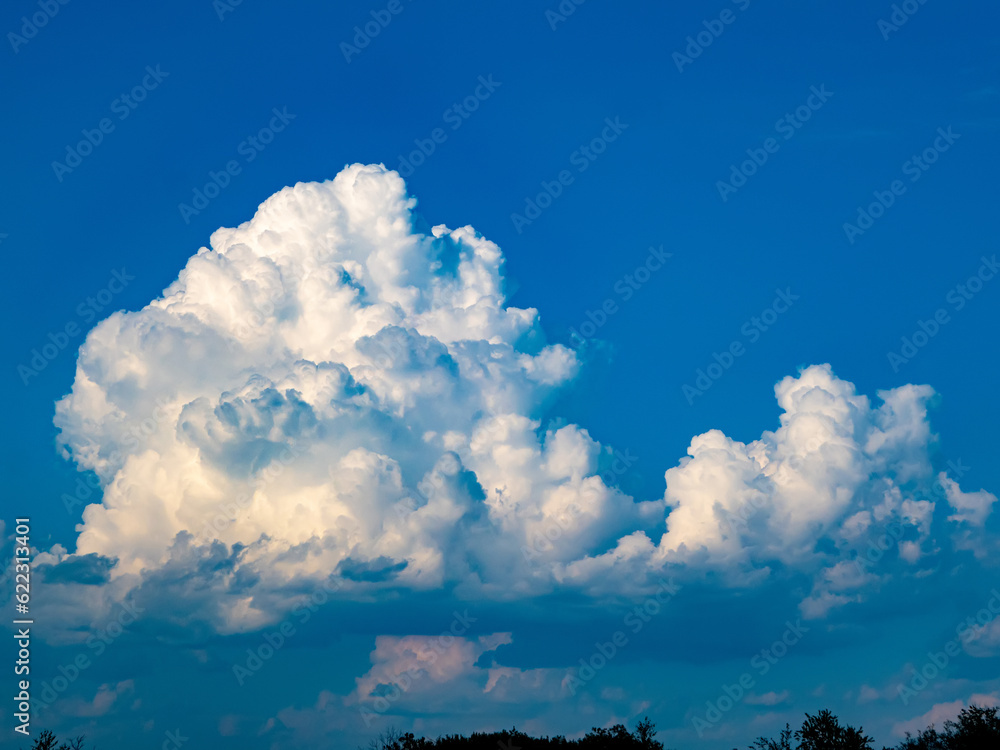 Meteorology. Clouds of vertical development (cumulonimbus) over the