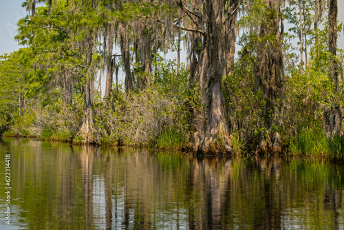 swamp landscape in the Okefenokee National Wildlife Refuge in Georgia